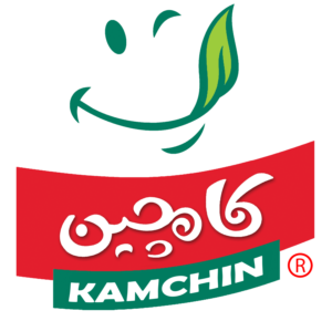 Cropped Kamchin logo 1 1 300x290 1
