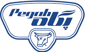 Pegah removebg preview min