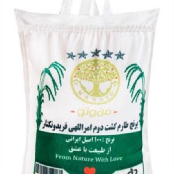 برنج طارم کشت دوم امرالهی فریدونکنار